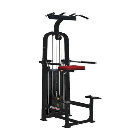 Dip / Chin Assist Proff VG S5-1019