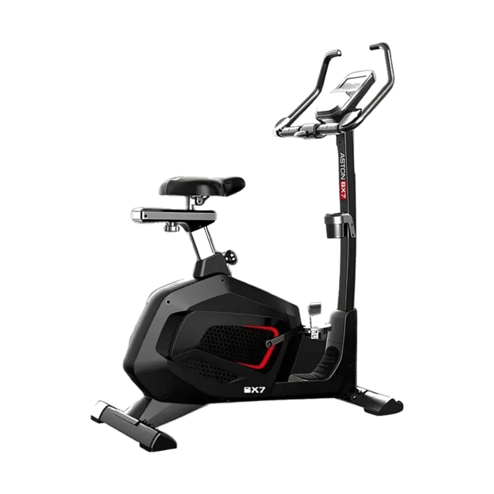 Upright Bike 13030511-10
