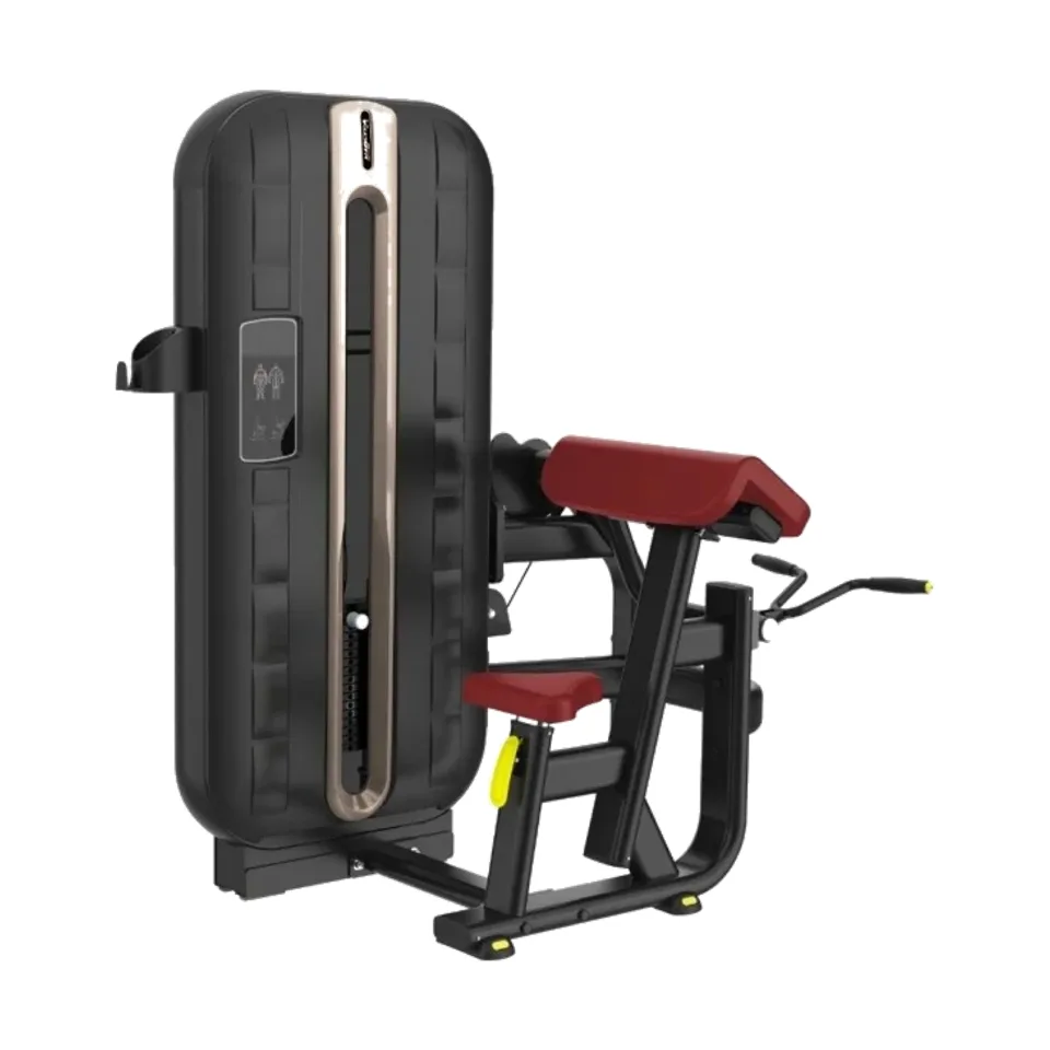 VolksGym Bicep Curl S7-006