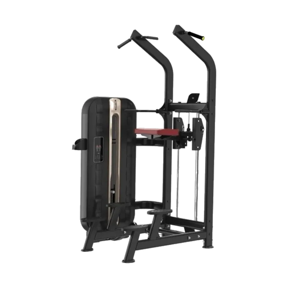VolksGym Assisted Chin/Dip S7-008