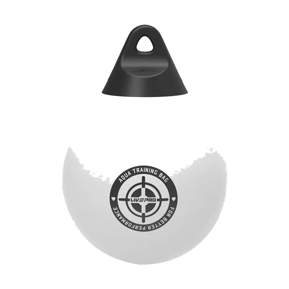 Water Boxing Bag with Chain LP8606